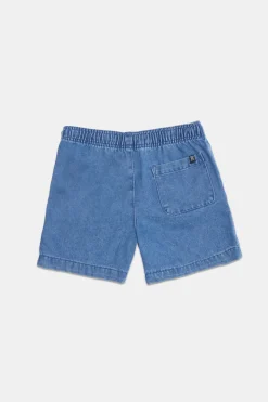 Arsenic Youth Denim Shorts