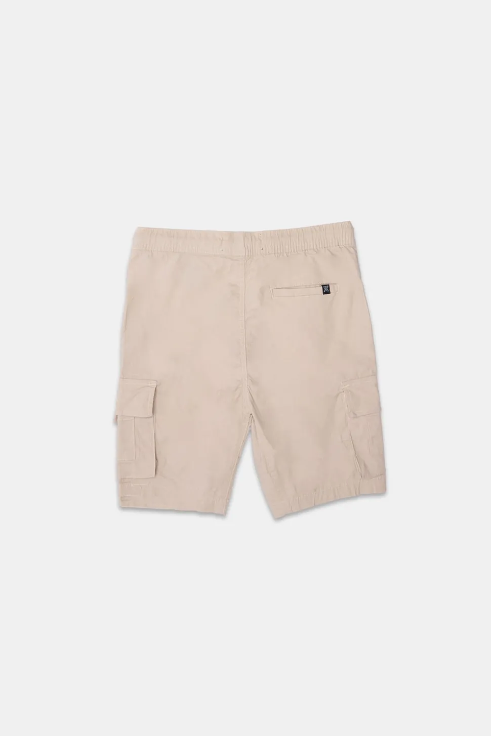 Arsenic Youth Poplin Cargo Shorts