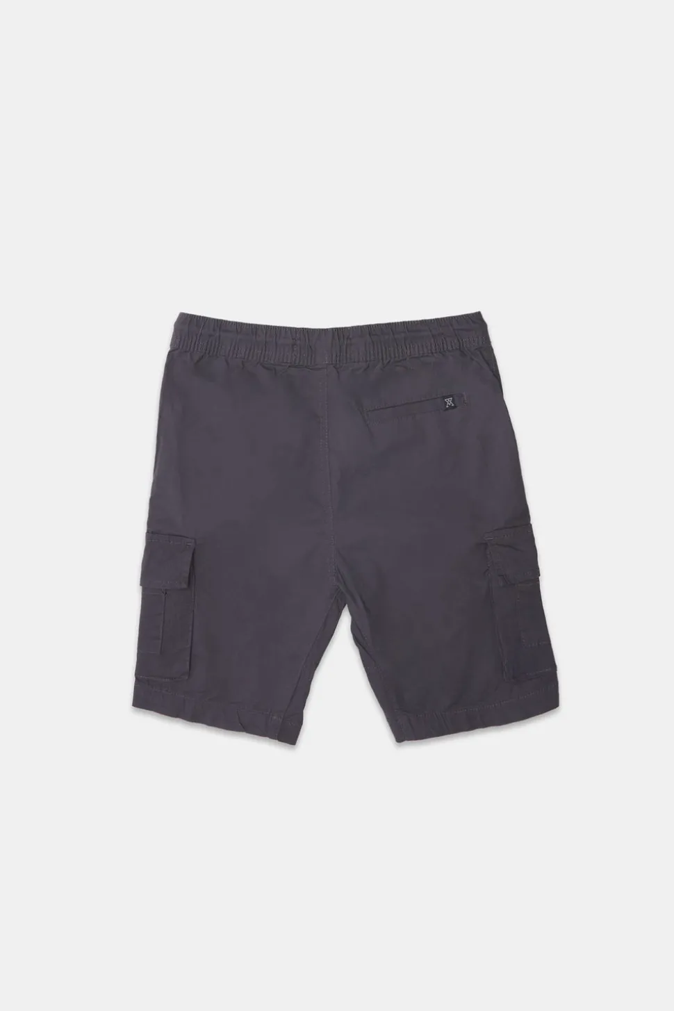 Arsenic Youth Poplin Cargo Shorts