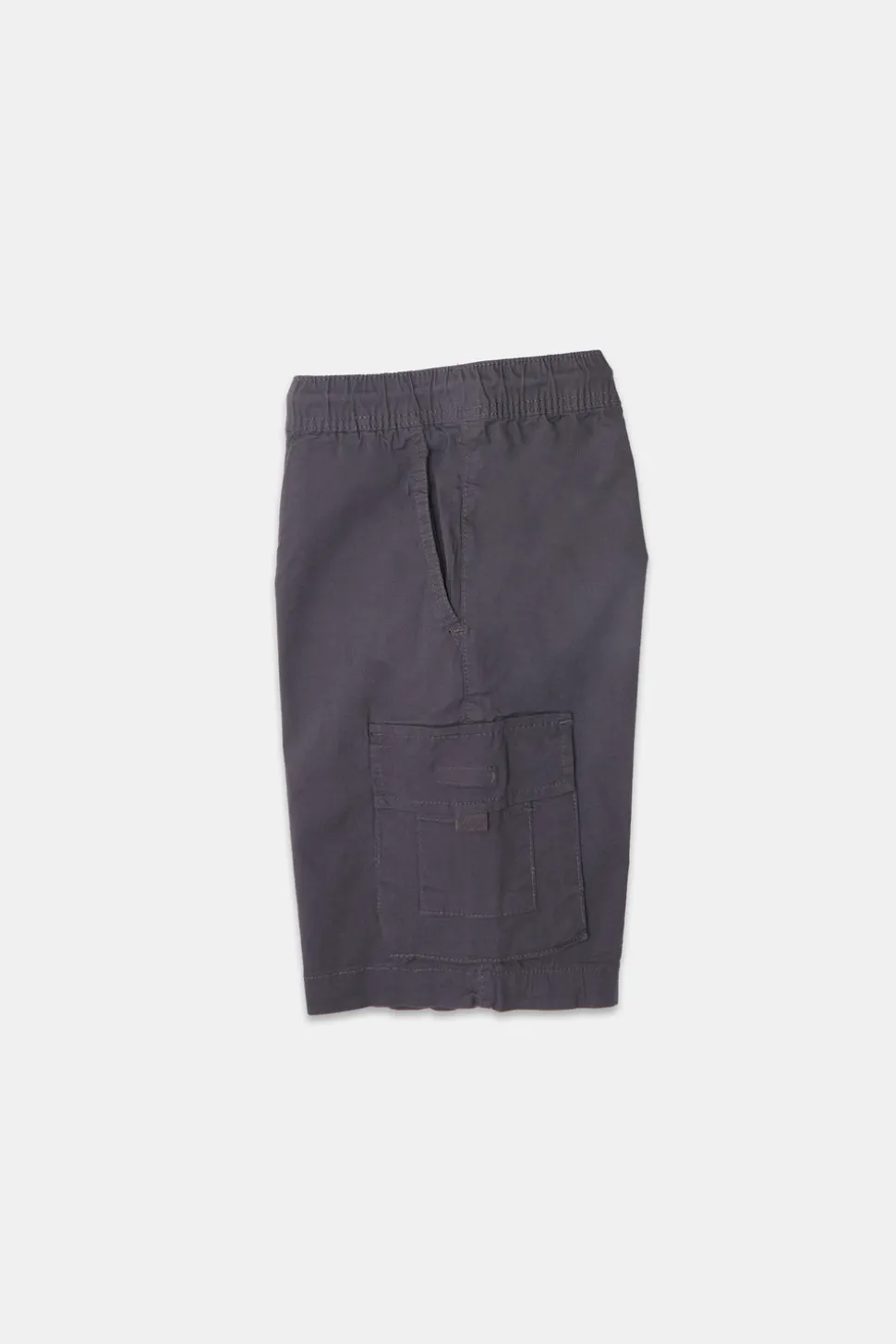 Arsenic Youth Poplin Cargo Shorts
