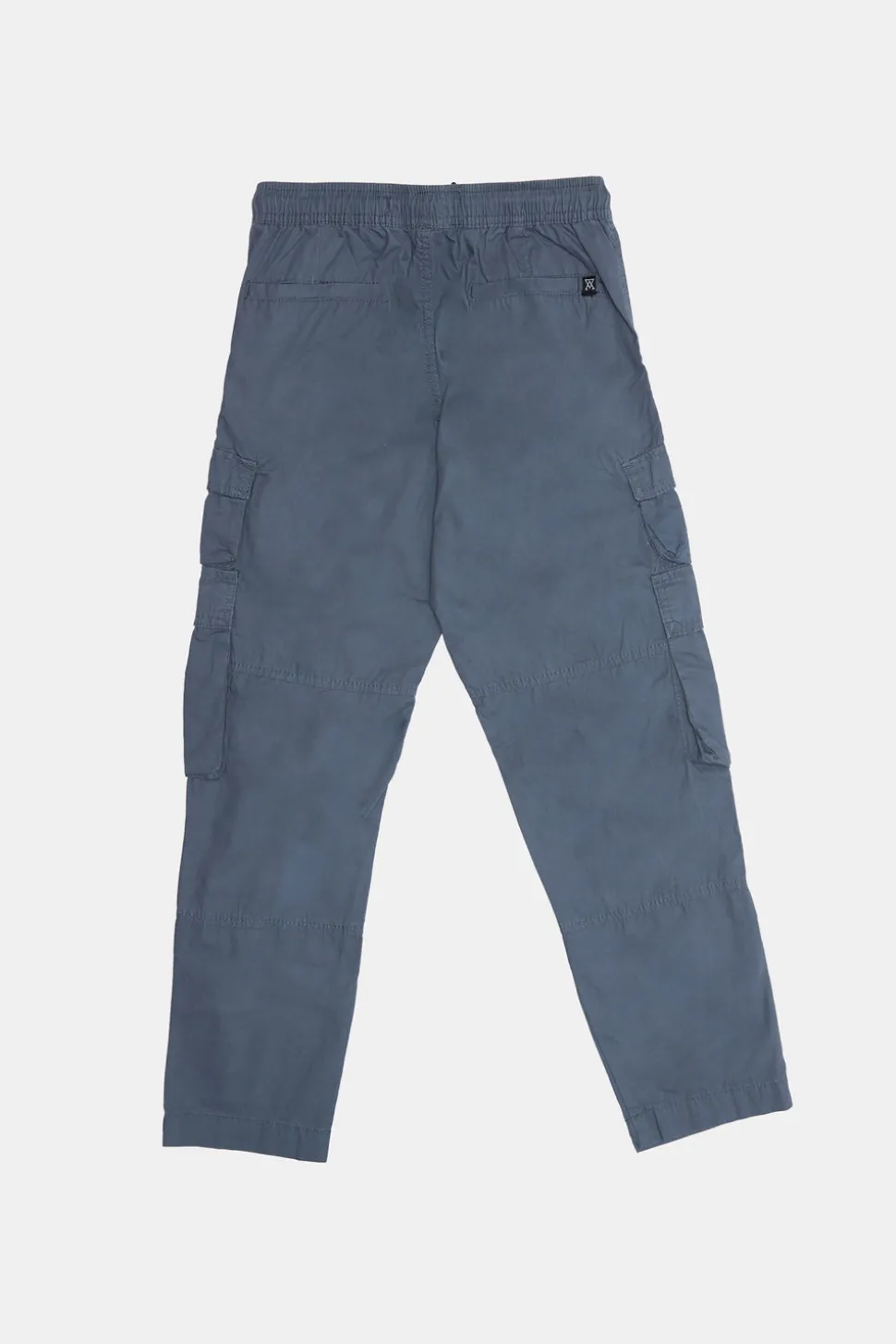 Arsenic Youth Porkchop Poplin Cargo Pant