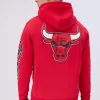 Mens Chicago Bulls Basketball Hoodie