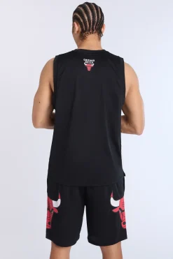 Mens Chicago Bulls Mesh Shorts