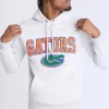 Mens Florida Gators Chenille Logo Hoodie