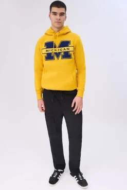 Mens Michigan Chenille Logo Hoodie