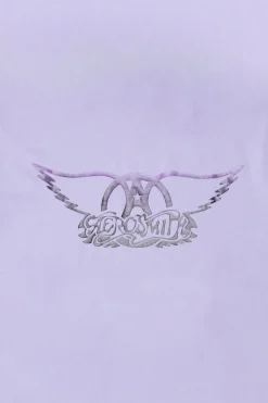 Womens Aerosmith Gel Boyfriend Tee