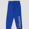 Youth Sonic The Hedgehog Sweatpant