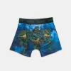 Youth TMNT Allover Print Boxer Brief