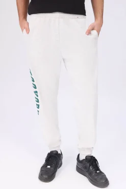 Zoo York Mens Varsity Logo Sweatpant