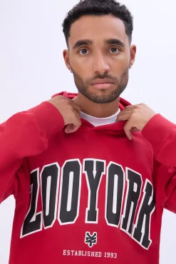 Zoo York Mens Varsity Puff Logo Hoodie